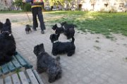 20150422 - Piazza Piola con fratelli_009