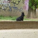 20150425 - Adelina ai Giardini Ramelli_001