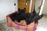 20150509 - Con la mama_001