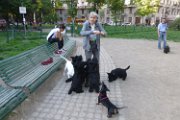 20150509 - Piazza Piola con fratelli_002