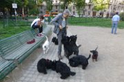 20150509 - Piazza Piola con fratelli_003