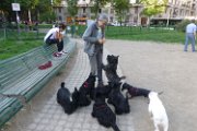 20150509 - Piazza Piola con fratelli_004