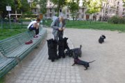 20150509 - Piazza Piola con fratelli_006