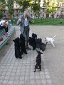 20150509 - Piazza Piola con fratelli_009