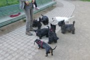 20150509 - Piazza Piola con fratelli_010