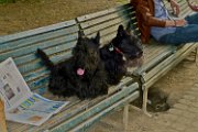 20150512 - Con QB a piazza Piola_001