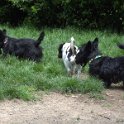 20150522 -Con gli amici ai Giardini Ramelli_001