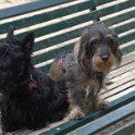 20150522 -Con gli amici ai Giardini Ramelli_018