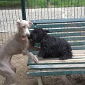 20150522 -Con gli amici ai Giardini Ramelli_044