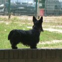20150715 - Con gli amici ai Giardini Ramelli_006