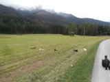 20170819 - Vacanze a Cortina_002
