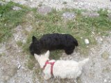 20170819 - Vacanze a Cortina_008