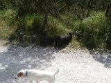 20170821 - Vacanze a Cortina_016