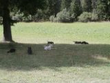 20170821 - Vacanze a Cortina_024