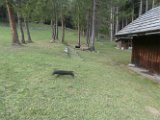 20170822 - Vacanze a Cortina_029