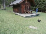 20170822 - Vacanze a Cortina_032