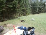 20170823 - Vacanze a Cortina_036