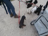20170825 - Vacanze a Cortina_042