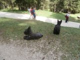 20170825 - Vacanze a Cortina_044