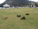 20170825 - Vacanze a Cortina_049