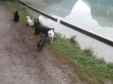 20170828 - Vacanze a Cortina_059