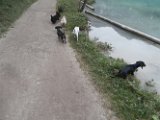 20170828 - Vacanze a Cortina_060