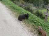 20170828 - Vacanze a Cortina_066