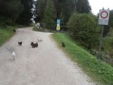 20170828 - Vacanze a Cortina_067