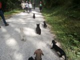 20170828 - Vacanze a Cortina_068
