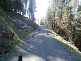20170830 - Vacanze a Cortina_071