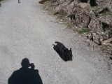 20170830 - Vacanze a Cortina_072