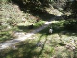 20170830 - Vacanze a Cortina_073