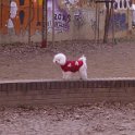 20170124 - Giardinetti Ramelli_001