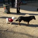 20170124 - Giardinetti Ramelli_003