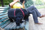 20170703 - Piazza Piola con Elly_035