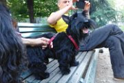 20170703 - Piazza Piola con Elly_036