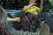 20170703 - Piazza Piola con Elly_037
