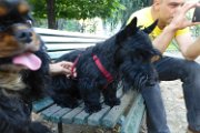 20170703 - Piazza Piola con Elly_038