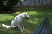 20180605 - Amelia_001