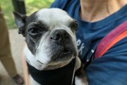20180610 - Frankie, Dina e Pepa_003