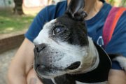 20180610 - Frankie, Dina e Pepa_004