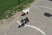 20180610 - Frankie, Dina e Pepa_006