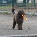 20190214 - Giardini Ramelli - Nina_003_cr