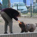 20190214 - Giardini Ramelli - Nina_005