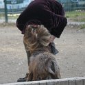 20190214 - Giardini Ramelli - Nina_006