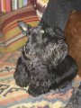 20190403 - A casa di Ebe_003
