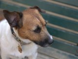 20190921 - Jack_001