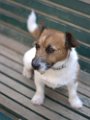 20190921 - Jack_002