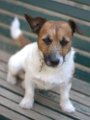 20190921 - Jack_003