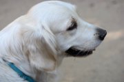 20190925 - Amelia_002